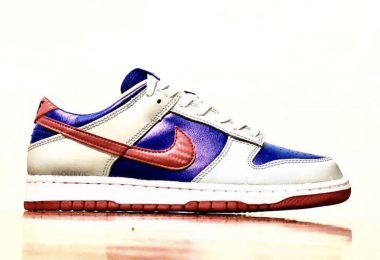 第一眼：NIKE DUNK LOW“ SAMBA” 2020版