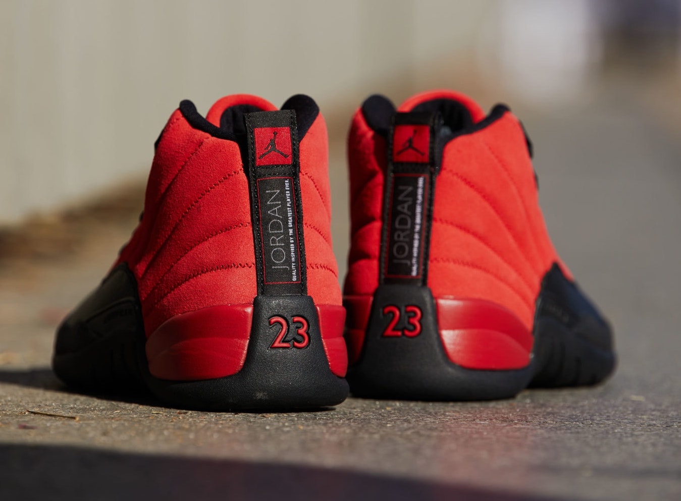 Air-Jordan-12-Reverse-Flu-Game-CT8013-602-2