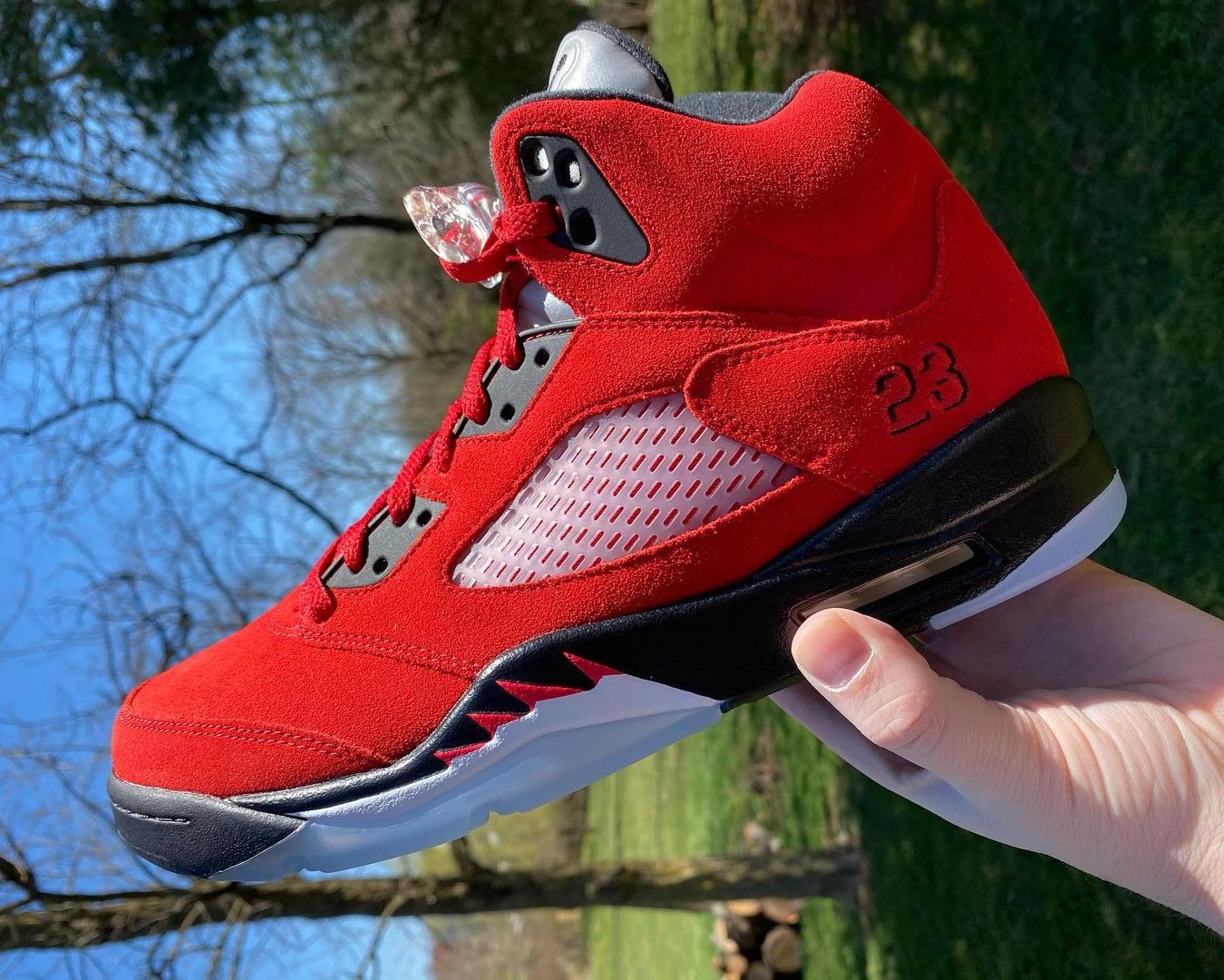 Air-Jordan-5-Toro-Bravo-DD0587-600-Release-Date-1