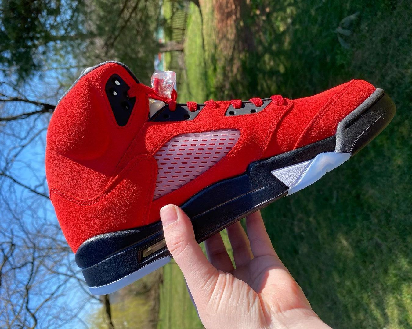 Air-Jordan-5-Toro-Bravo-DD0587-600-Release-Date-2