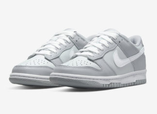 儿童 Nike Dunk Low Surface 两色灰色