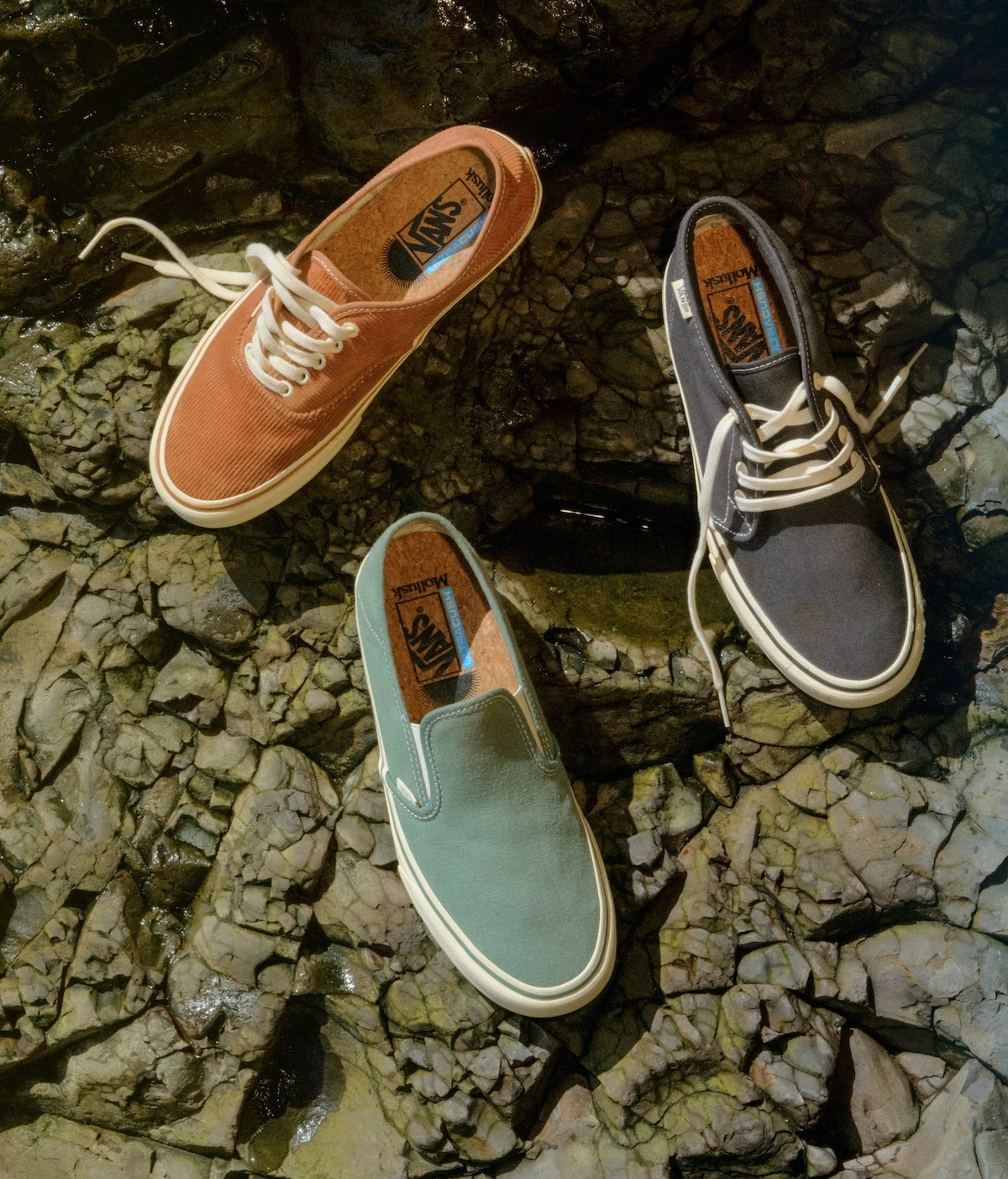 Mollusk Vans Authentic Slip-On Chukka Release Date