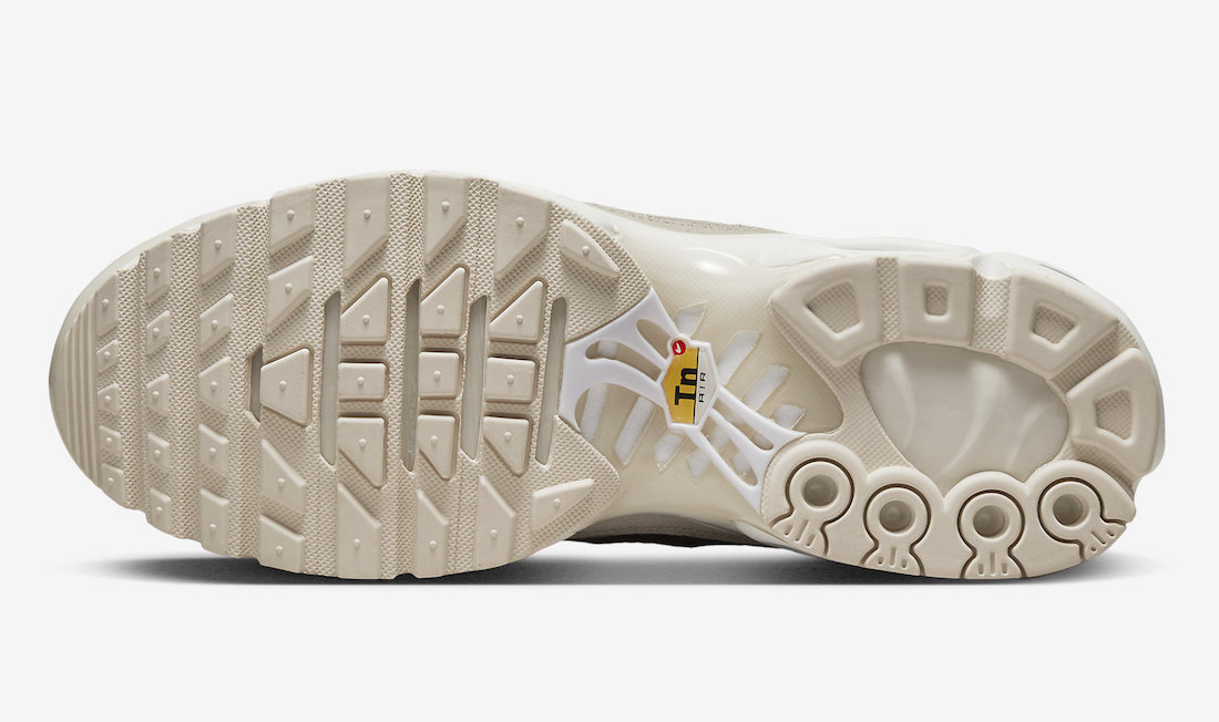 Nike Air Max Plus DZ2832-100 Release Date