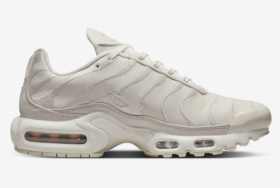 Nike Air Max Plus DZ2832-100 Release Date