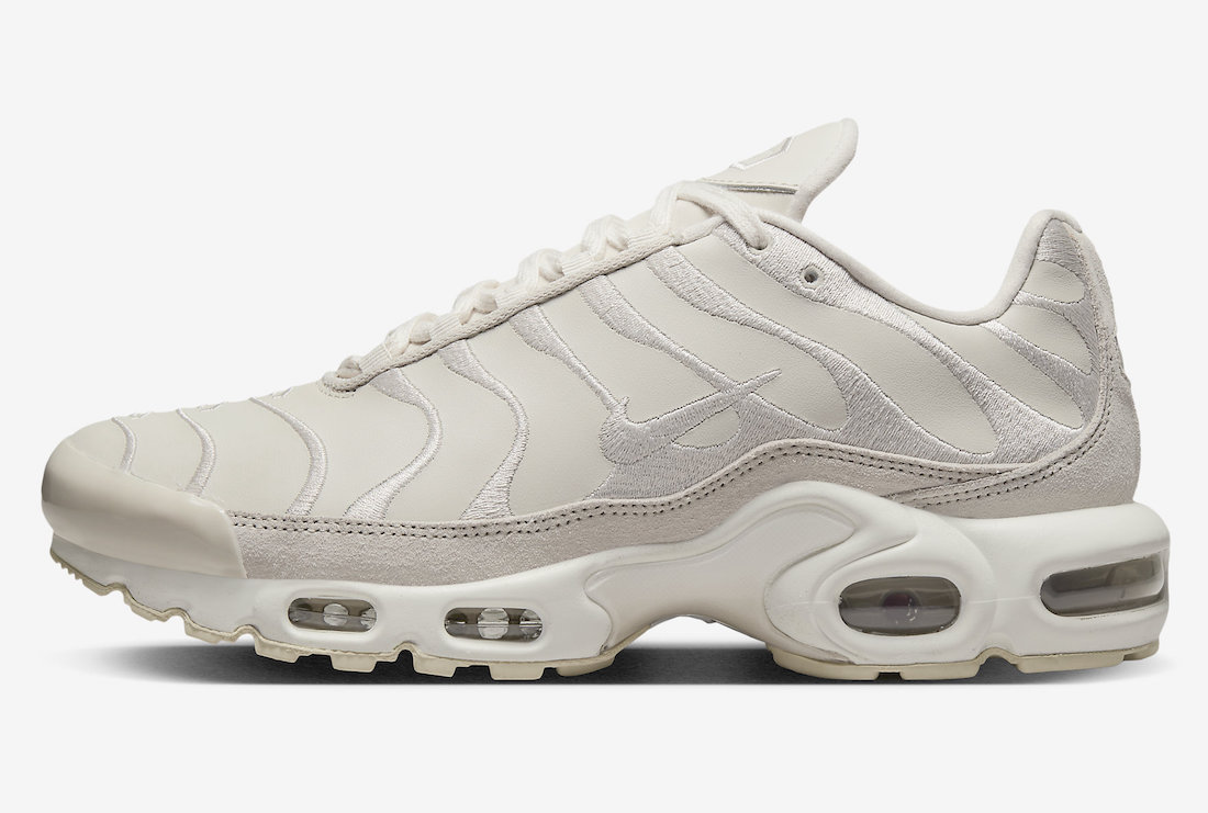 Nike Air Max Plus DZ2832-100 Release Date