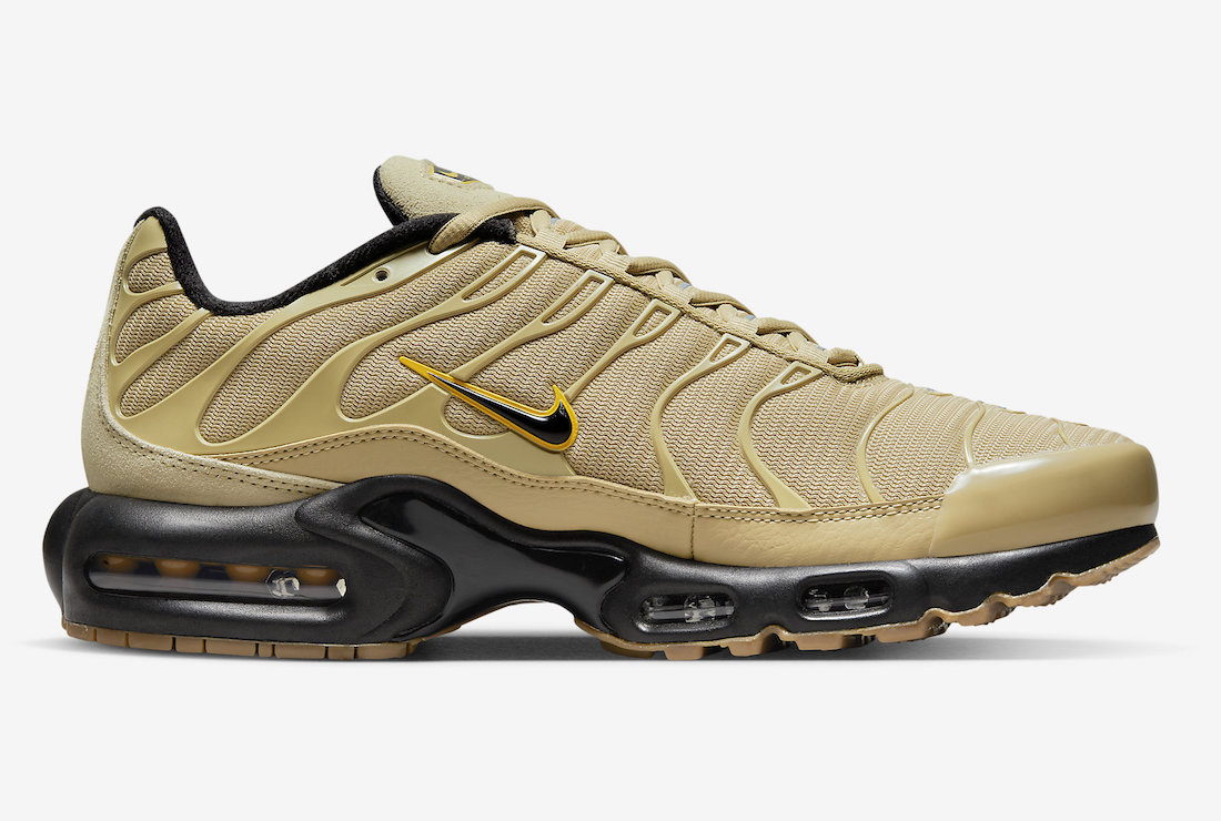 Nike Air Max Plus DZ4501-700 Release Date