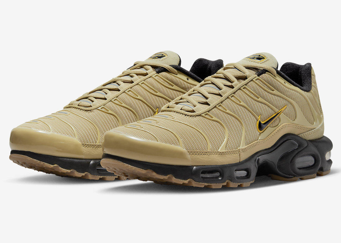 Nike Air Max Plus DZ4501-700 Release Date