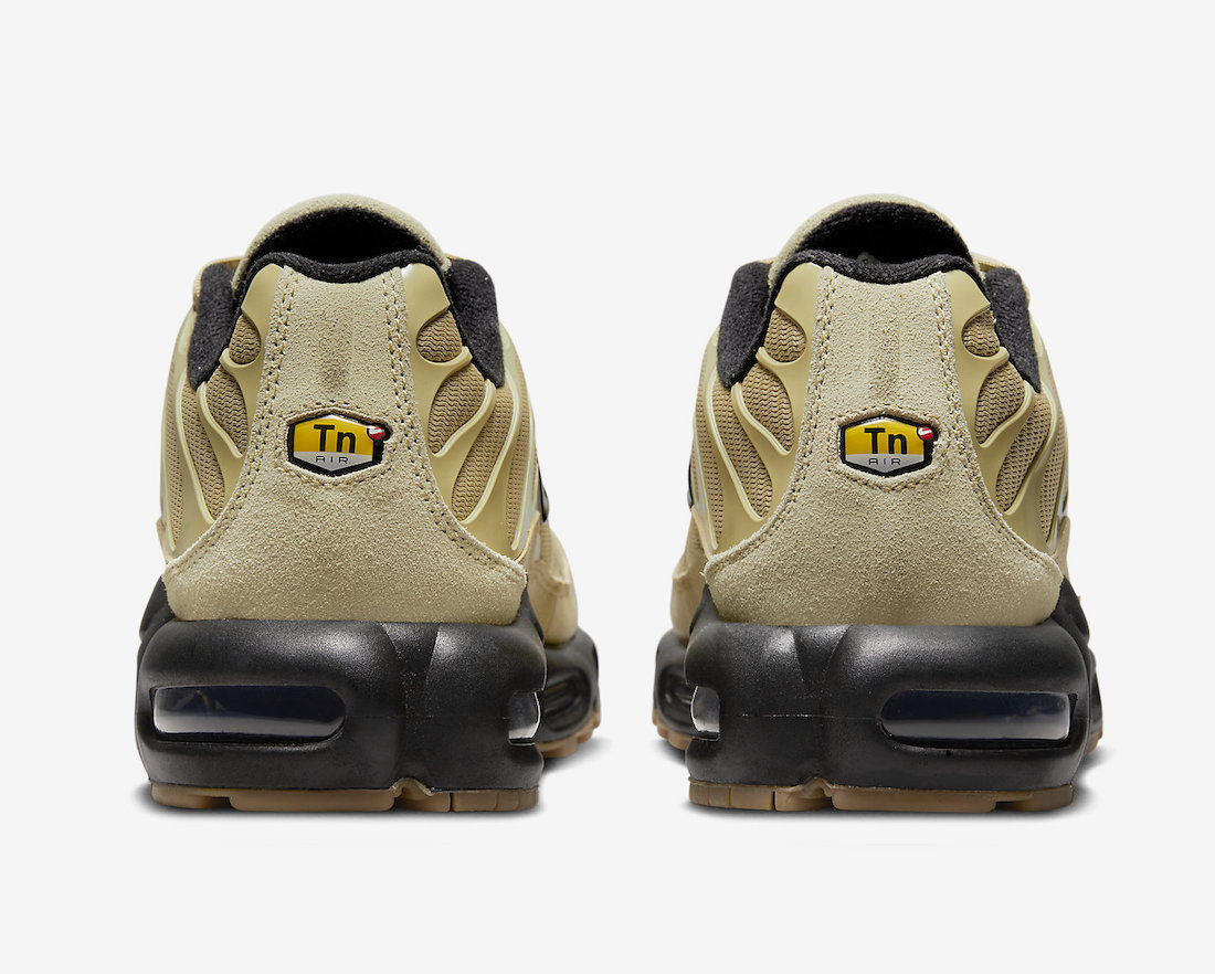 Nike Air Max Plus DZ4501-700 Release Date