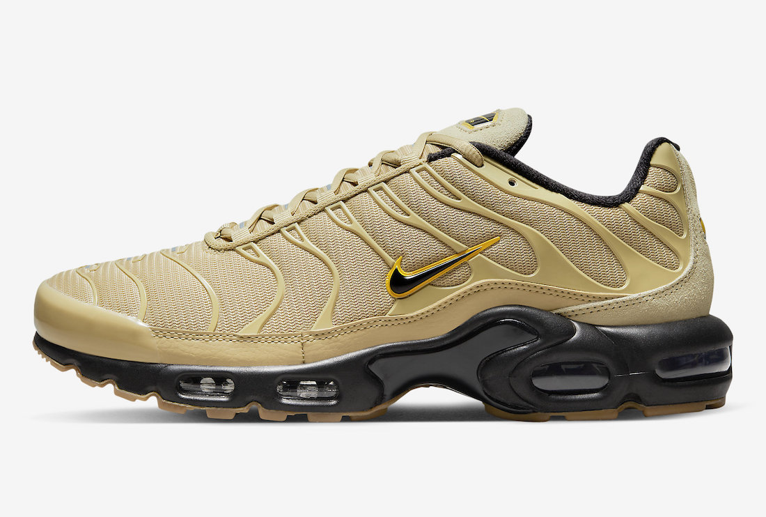 Nike Air Max Plus DZ4501-700 Release Date