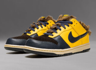 球鞋话题Nike Dunk Low “Teen Wolf”