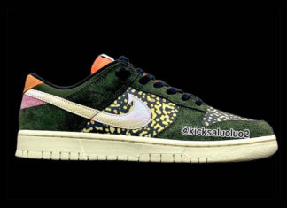 初见。Nike Dunk Low “Rainbow Trout”