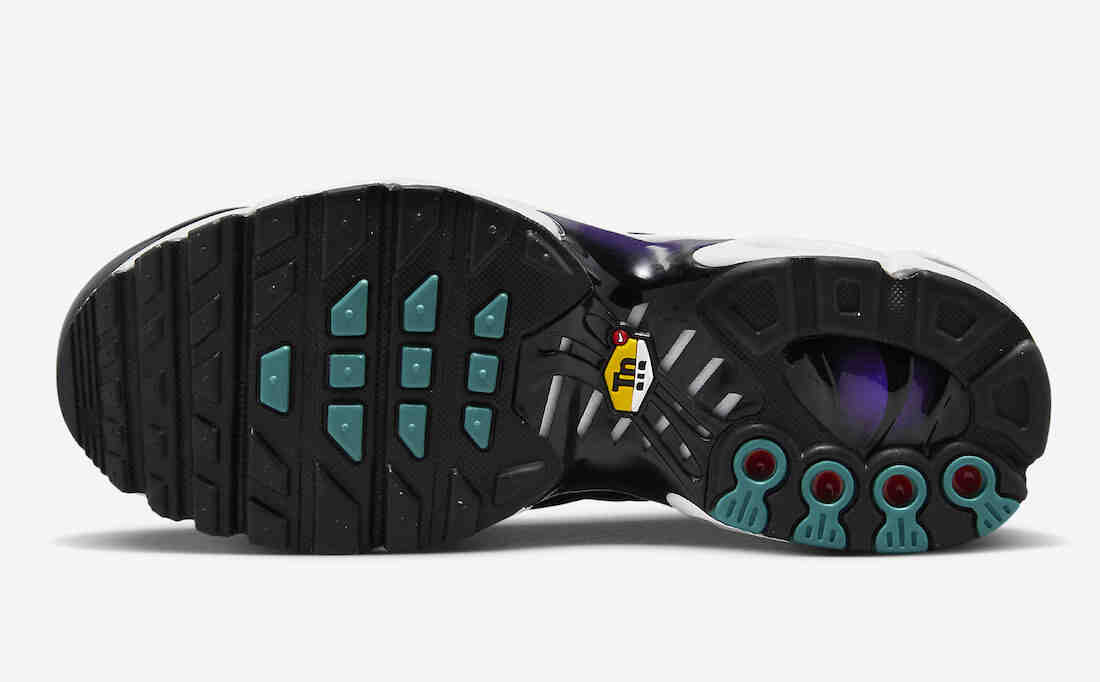 Nike Air Max Plus GS Black Grape FQ2412-500