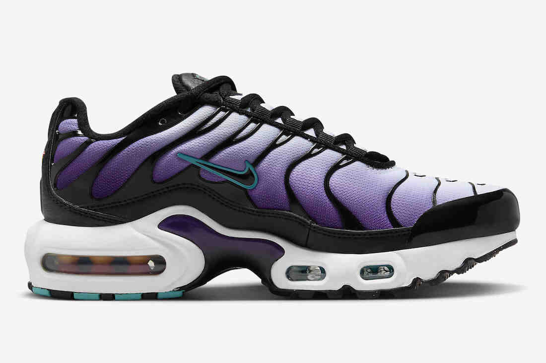 Nike Air Max Plus GS Black Grape FQ2412-500