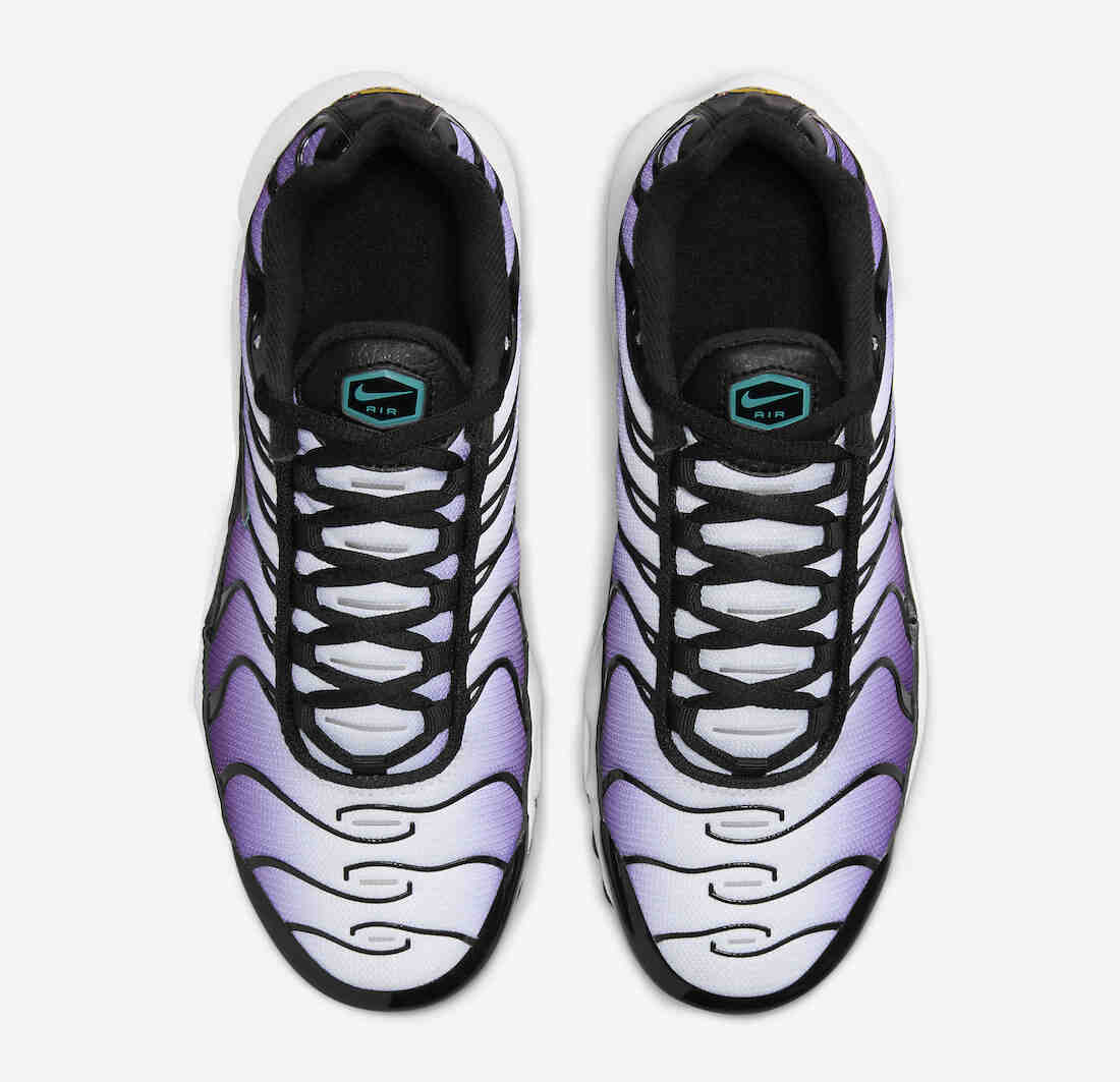 Nike Air Max Plus GS Black Grape FQ2412-500