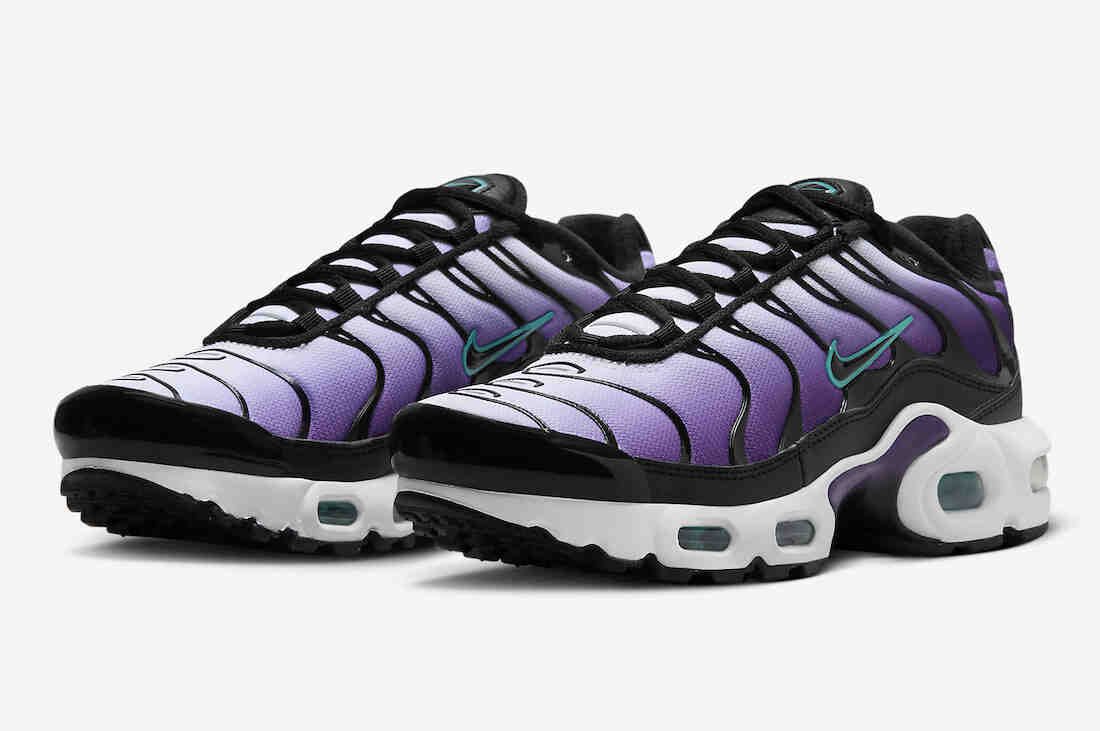 Nike Air Max Plus GS Black Grape FQ2412-500