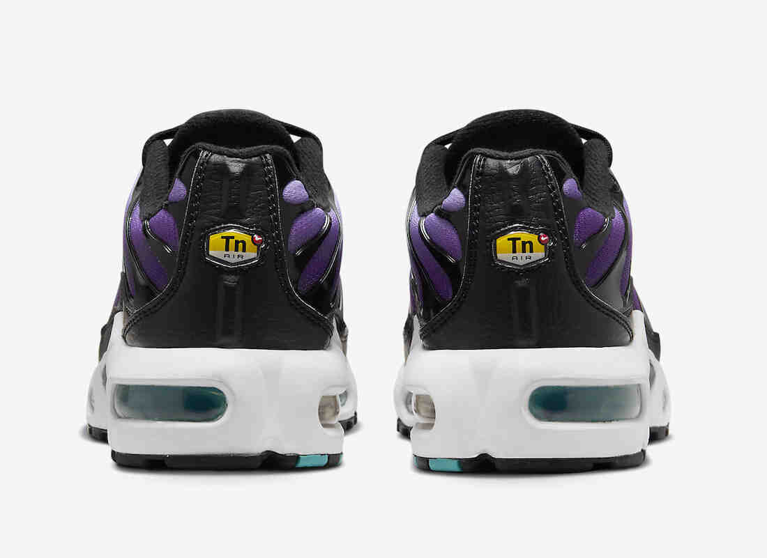 Nike Air Max Plus GS Black Grape FQ2412-500