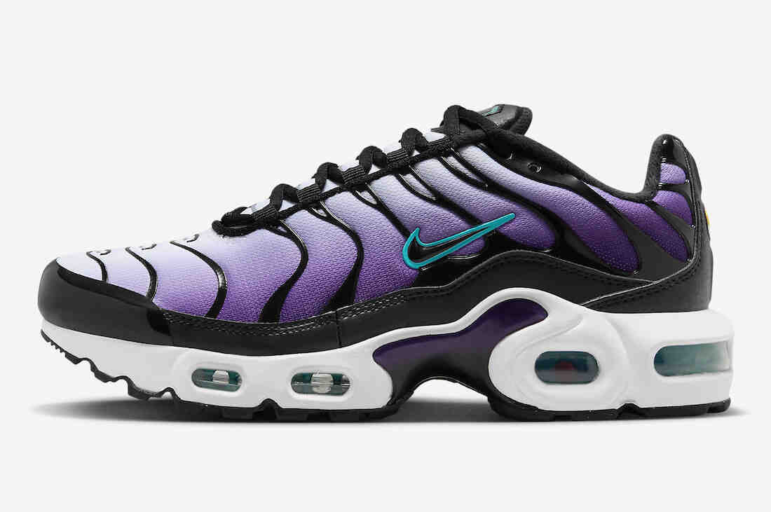 Nike Air Max Plus GS Black Grape FQ2412-500