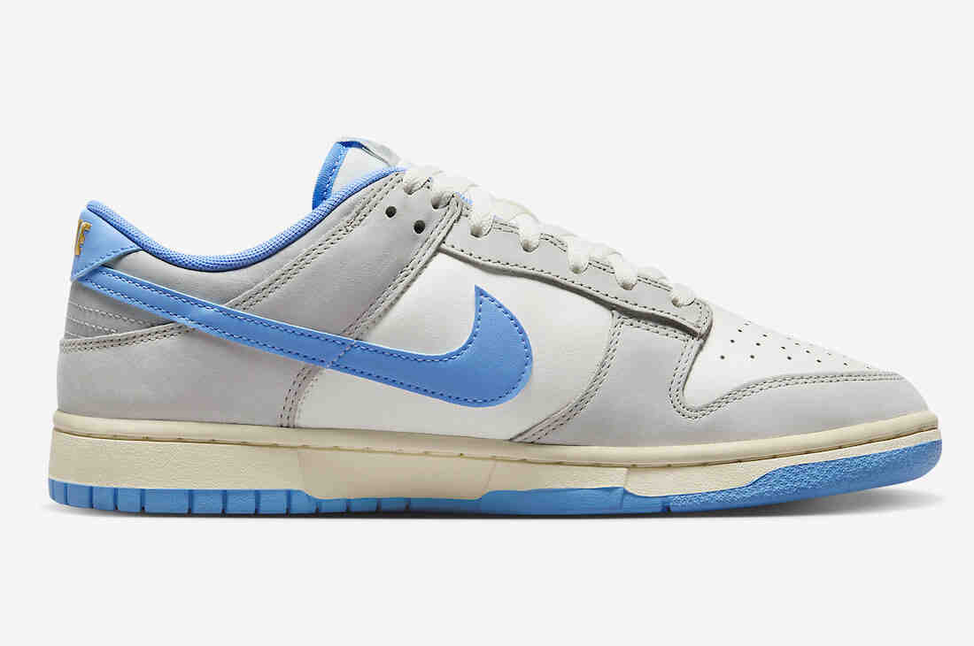 Nike Dunk Low Athletic Department FN7488-133