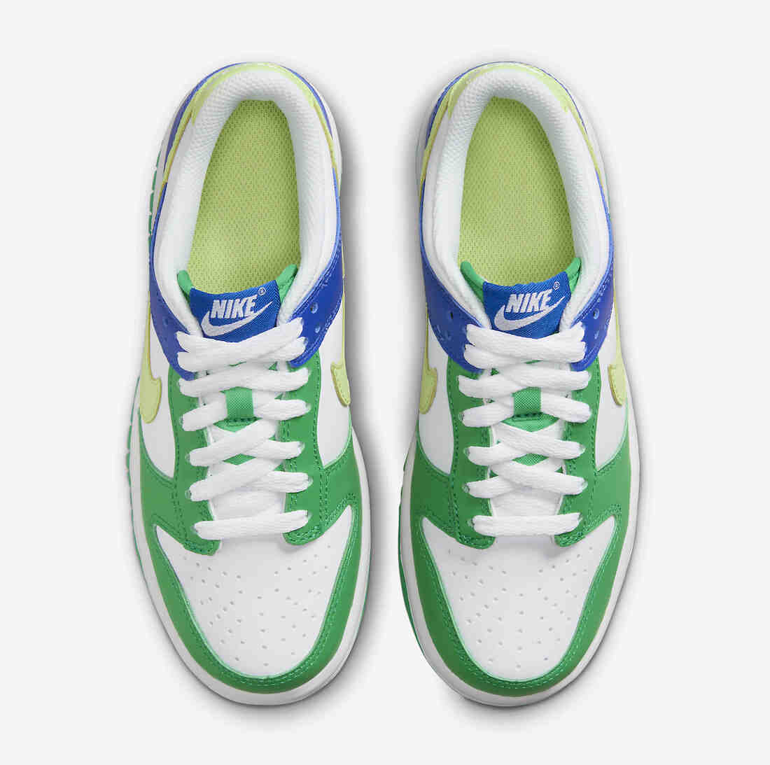Nike Dunk Low GS Green Blue FN6973-100