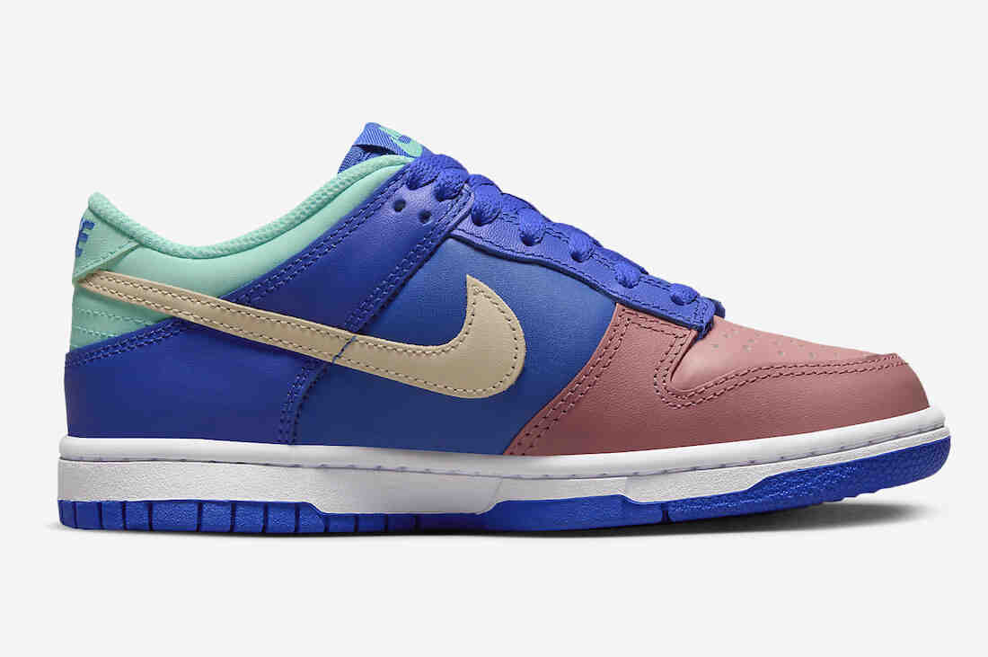 Nike Dunk Low GS Salmon Toe DZ2873-400