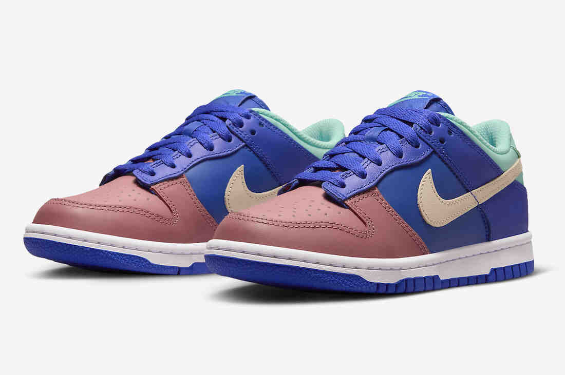 Nike Dunk Low GS Salmon Toe DZ2873-400