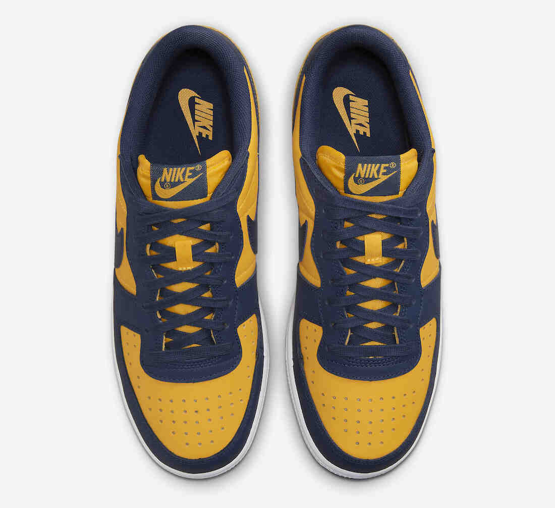 Nike Terminator Low Michigan FJ4206-700 Release Date