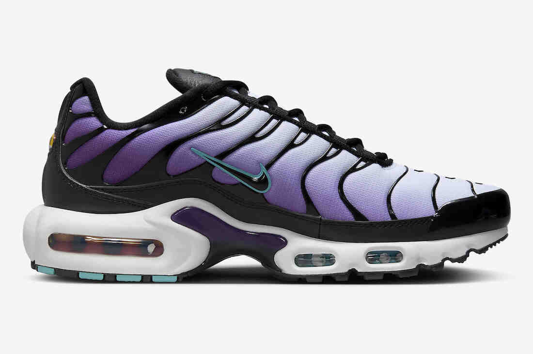 Nike Air Max Plus Reverse Grape FQ2415-500