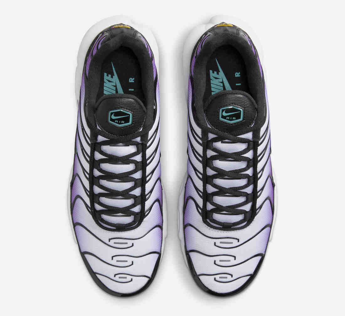 Nike Air Max Plus Reverse Grape FQ2415-500