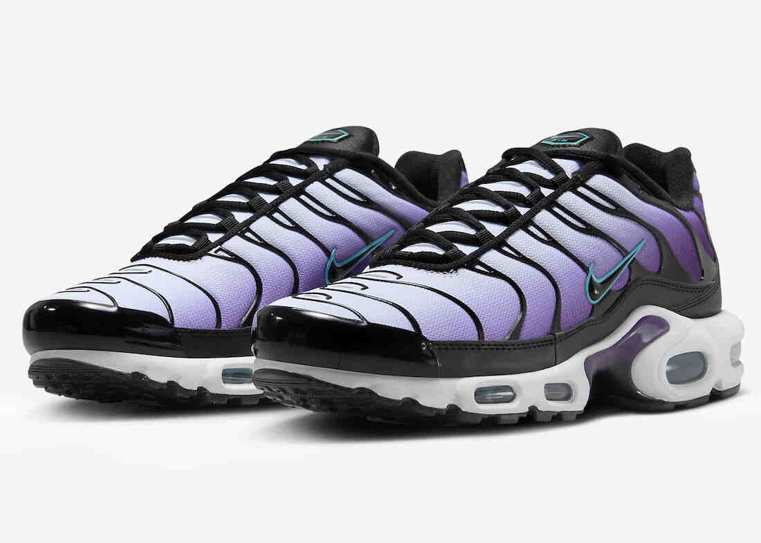 Nike Air Max Plus Reverse Grape FQ2415-500