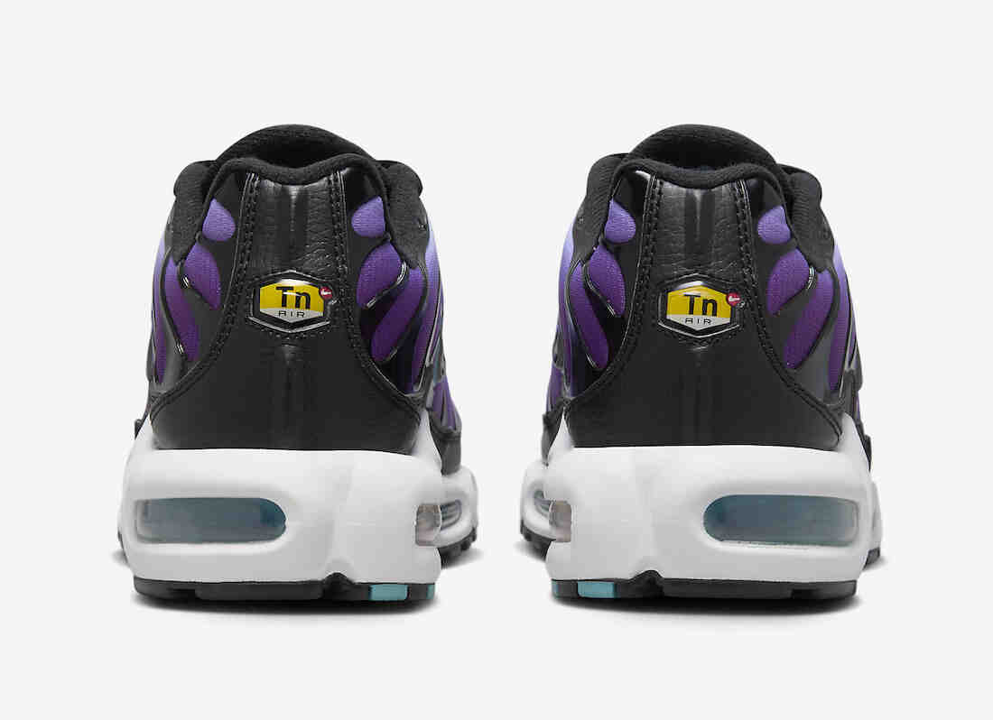 Nike Air Max Plus Reverse Grape FQ2415-500