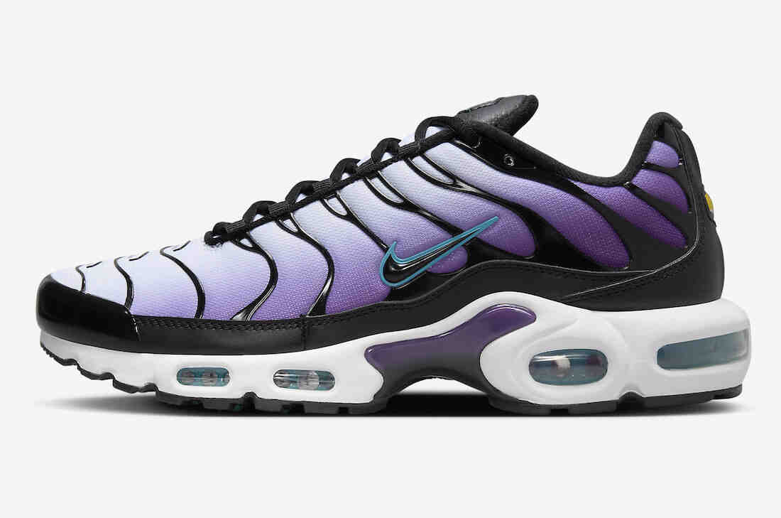 Nike Air Max Plus Black Grape FQ2415-500