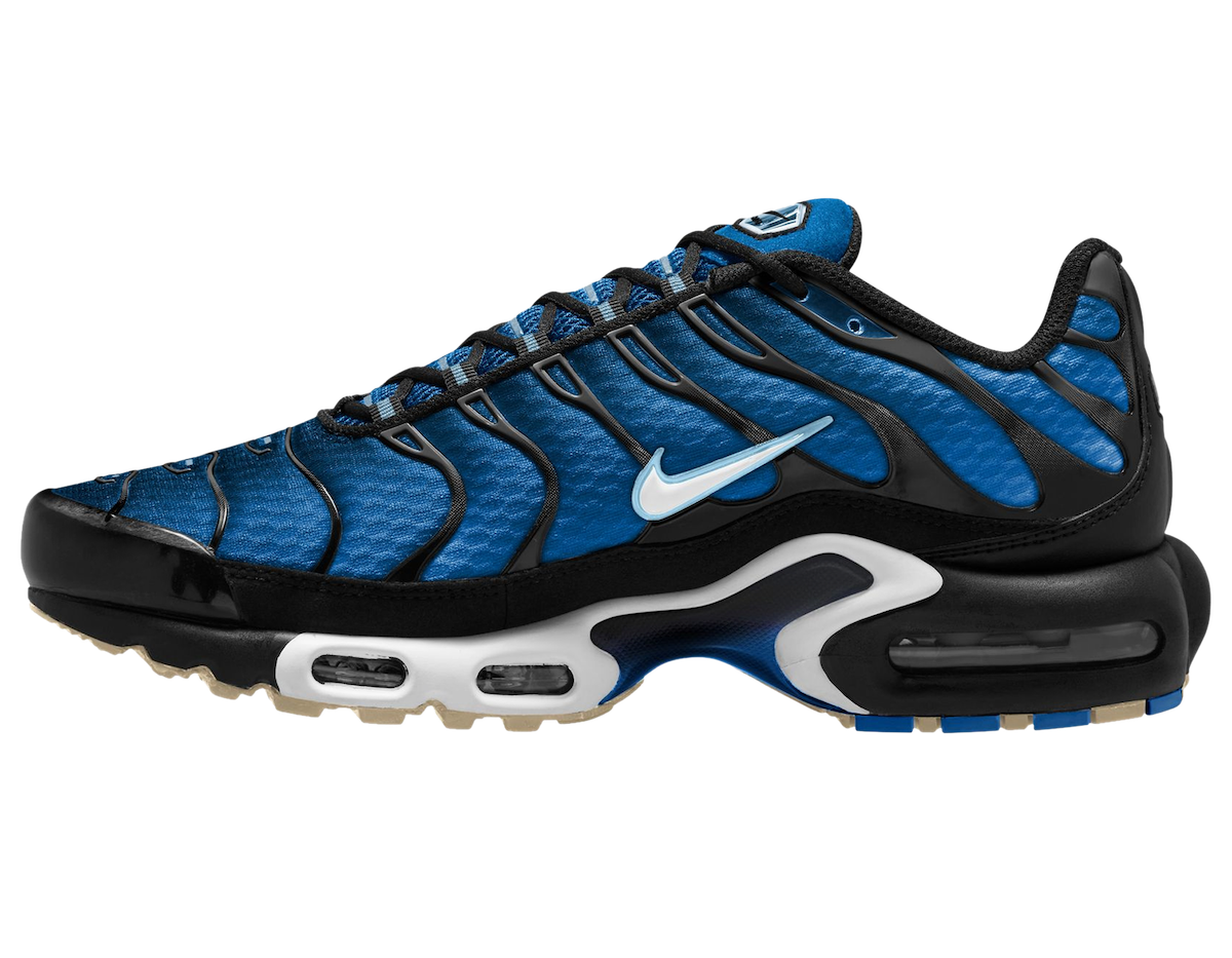 Nike Air Max Plus Photo Blue Aquarius Blue DM0032-402 Lateral Side