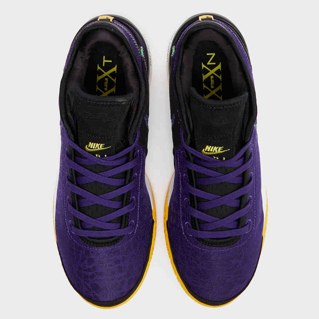 Nike LeBron NXXT Gen Lakers Court Purple DR8784-500