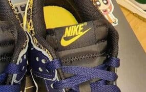 全新 Nike Dunk Low 再度亮相！密西根配色来袭！