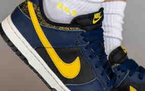 “Nike Dunk Low ‘密西根’ 新鞋展示！给鞋评分如何？”