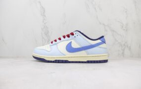 Nike SB Dunk Low 低帮休闲板鞋 白蓝 FV8113-141